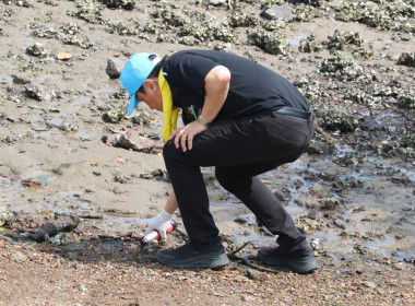 วันที่ 13 พฤศจิกายน 2568 จัดพิธีน้อมถวายความอาลัยและ ... พารามิเตอร์รูปภาพ 32